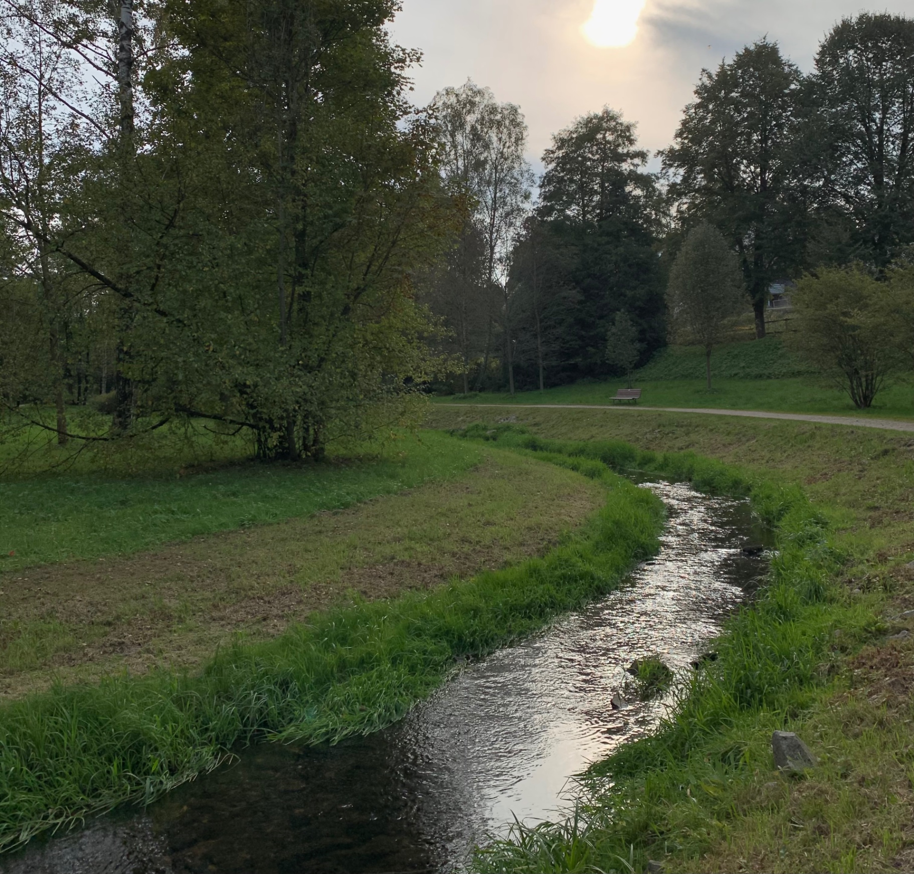 Ruhiger Bach im Park bei Sonnenuntergang, gesäumt von Wiesen und Bäumen.