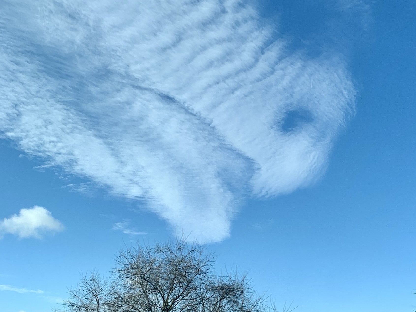 Wolkenformation am blauen Himmel über kahlen Baumkronen.
